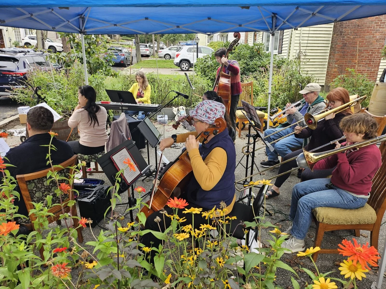 An outdoor musical performance with a group of musicians under a blue canopy, playing various instruments such as violin, trombone, and keyboard, surrounded by flowers and greenery, with parked cars and houses in the background.