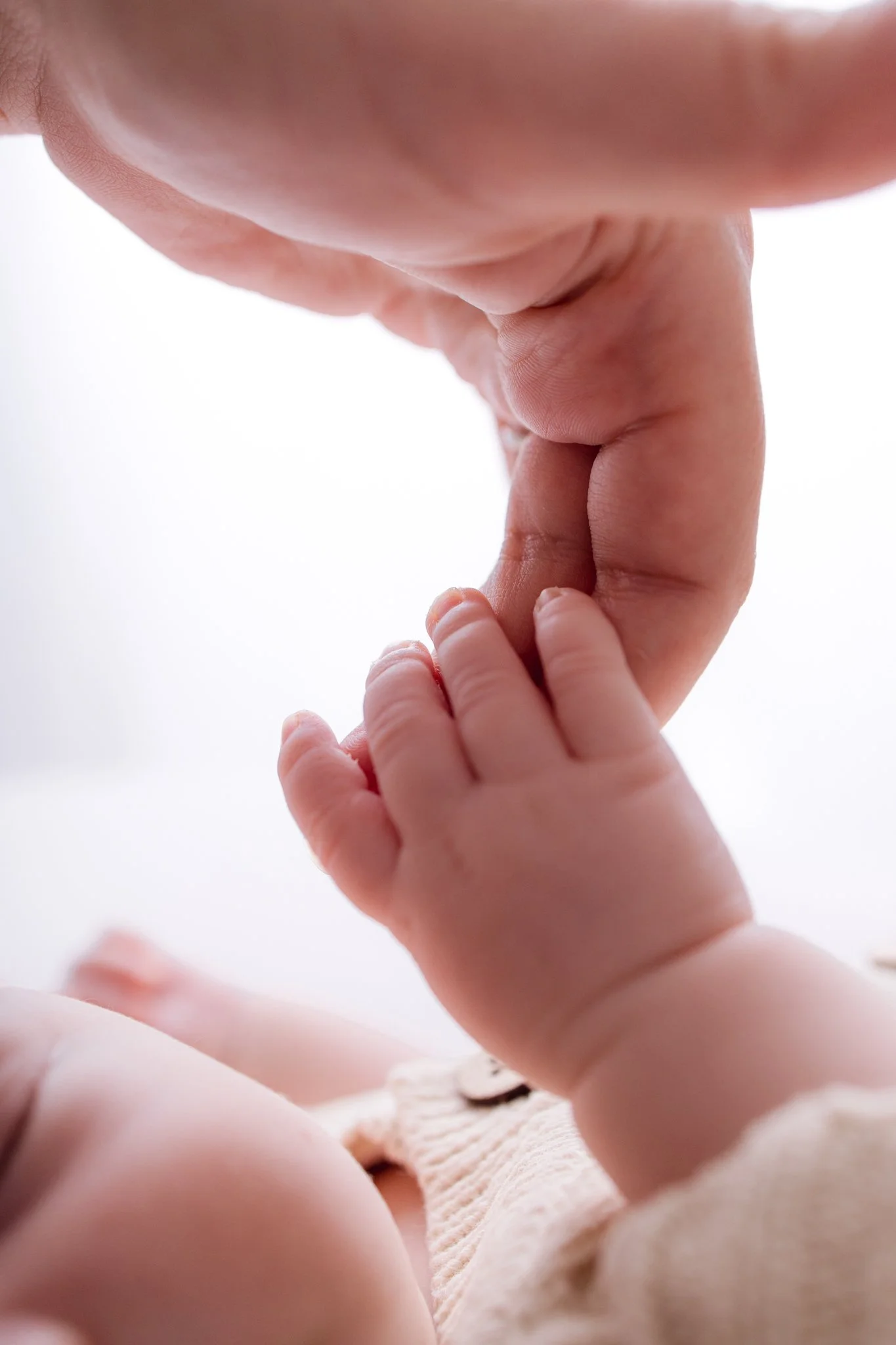 Bunch_Photography_Newborn_Photographer_Melbourne-26.jpg