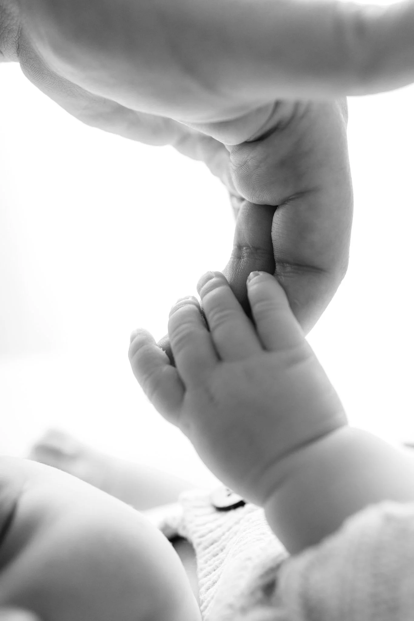 Close up of a newborn baby hand at a newborn photography session in Bacchus Marsh