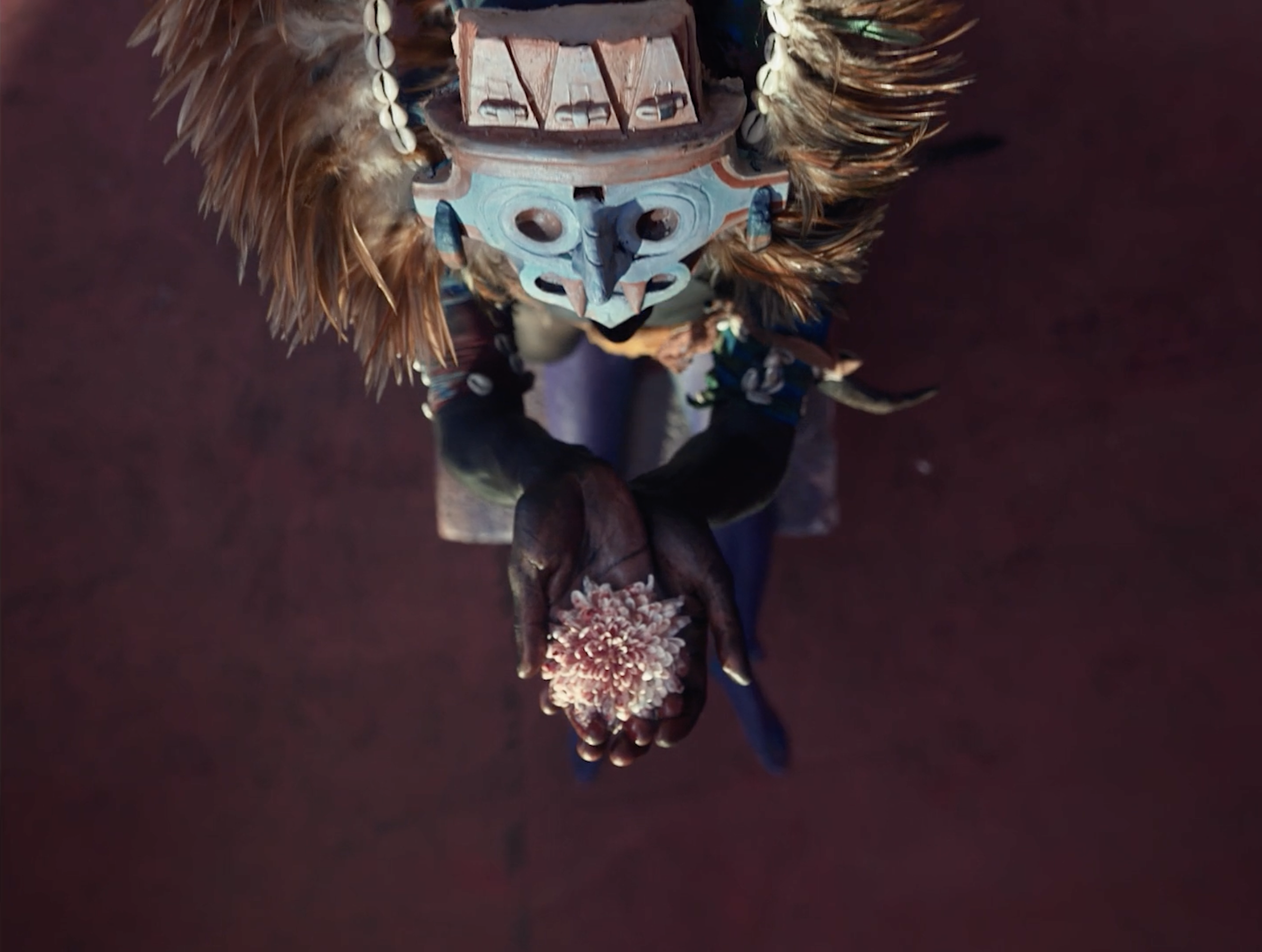 Captura de pantalla 2026-04-17 a la(s) 2.45.22 p.m..png