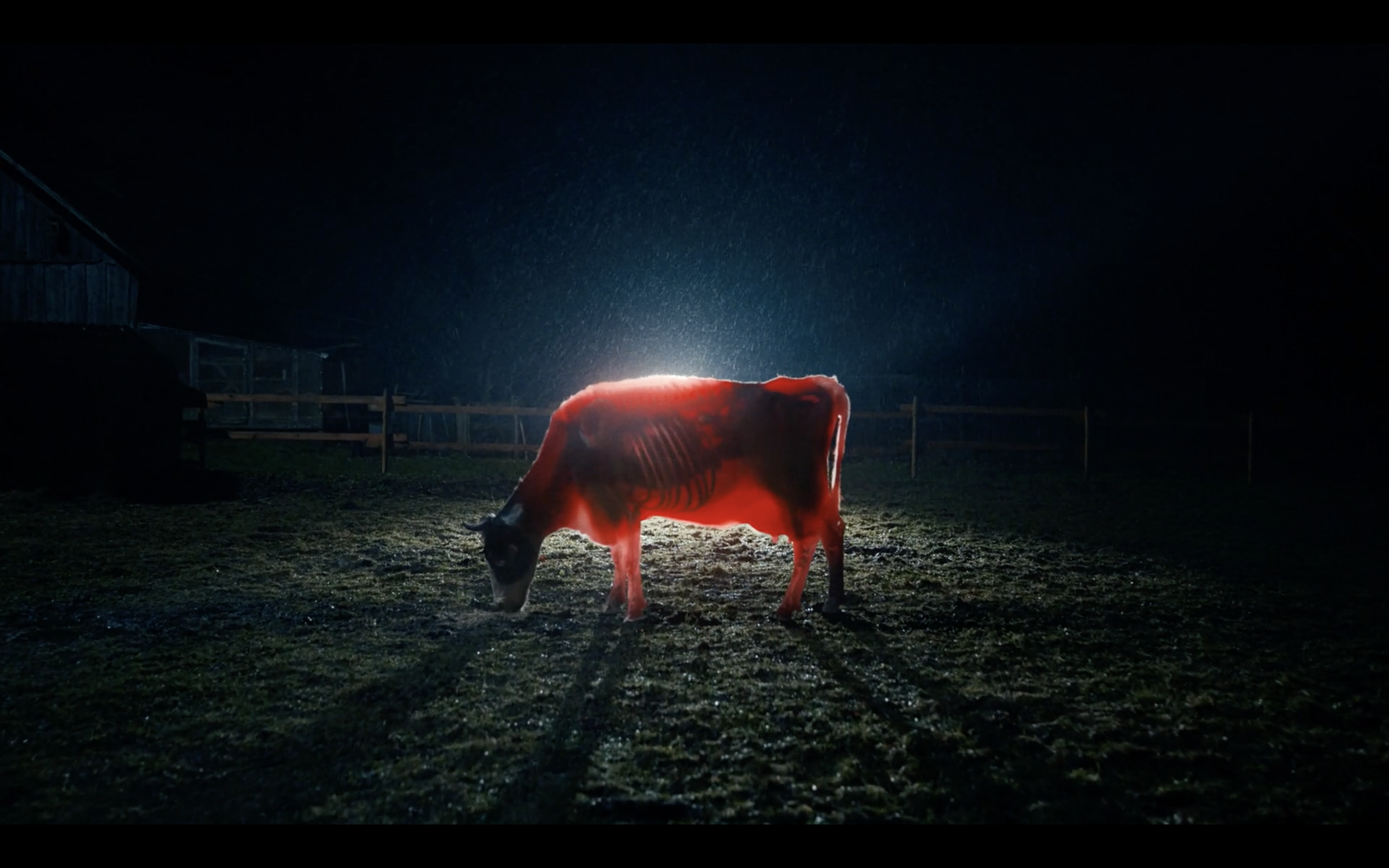 Captura de pantalla 2026-04-17 a la(s) 2.26.50 p.m..png