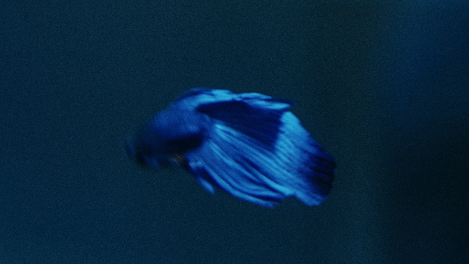 221122_SORARE_DC_16-9_3840x2160_422HQ.00_00_25_22.Still021 copy.webp