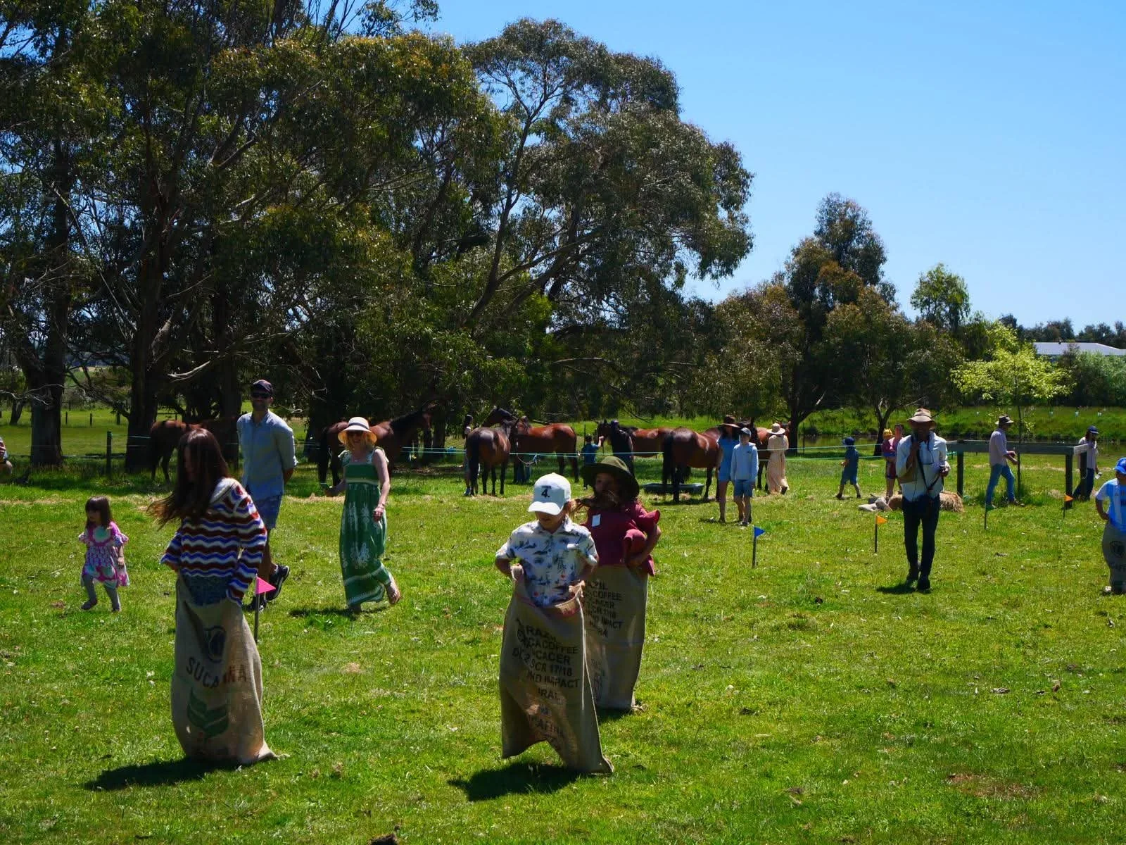 cup_day_wattlebank_farm2.jpeg