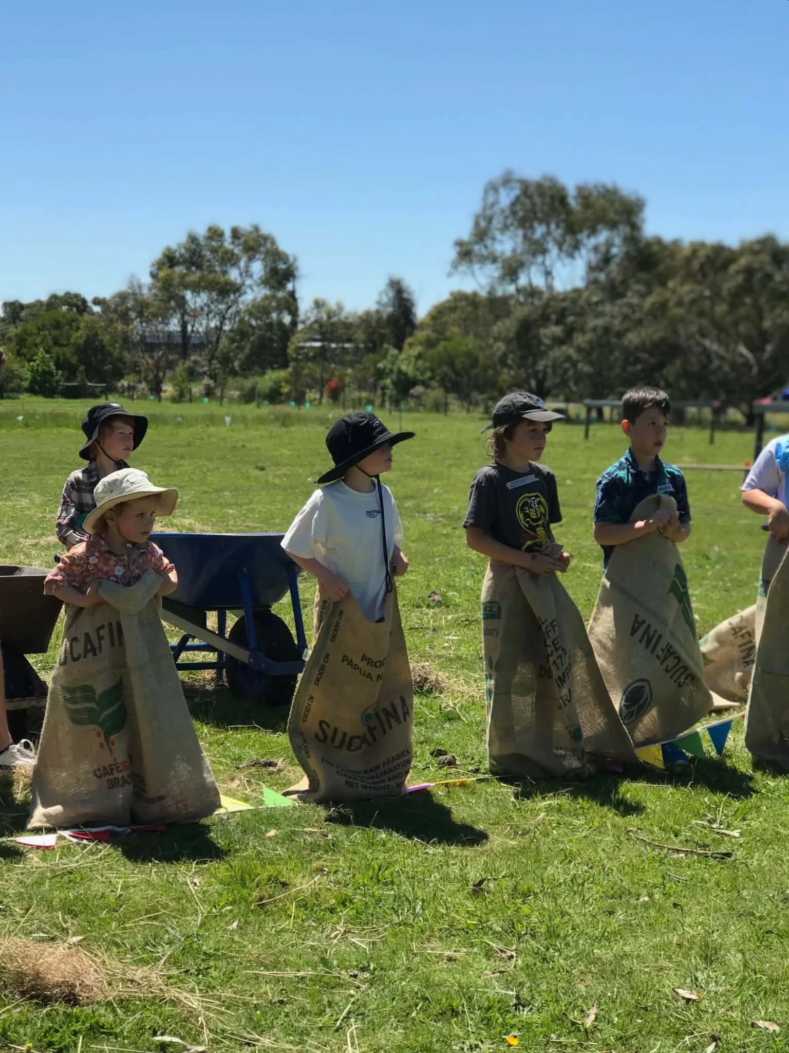 cup_day_wattlebank_farm3.jpeg