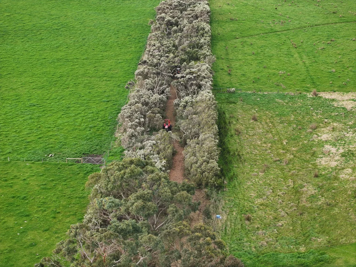 Wonthaggi To Inverloch Trail