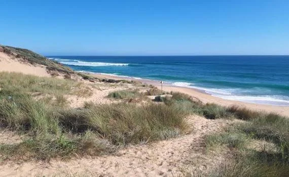 Williamsons Beach