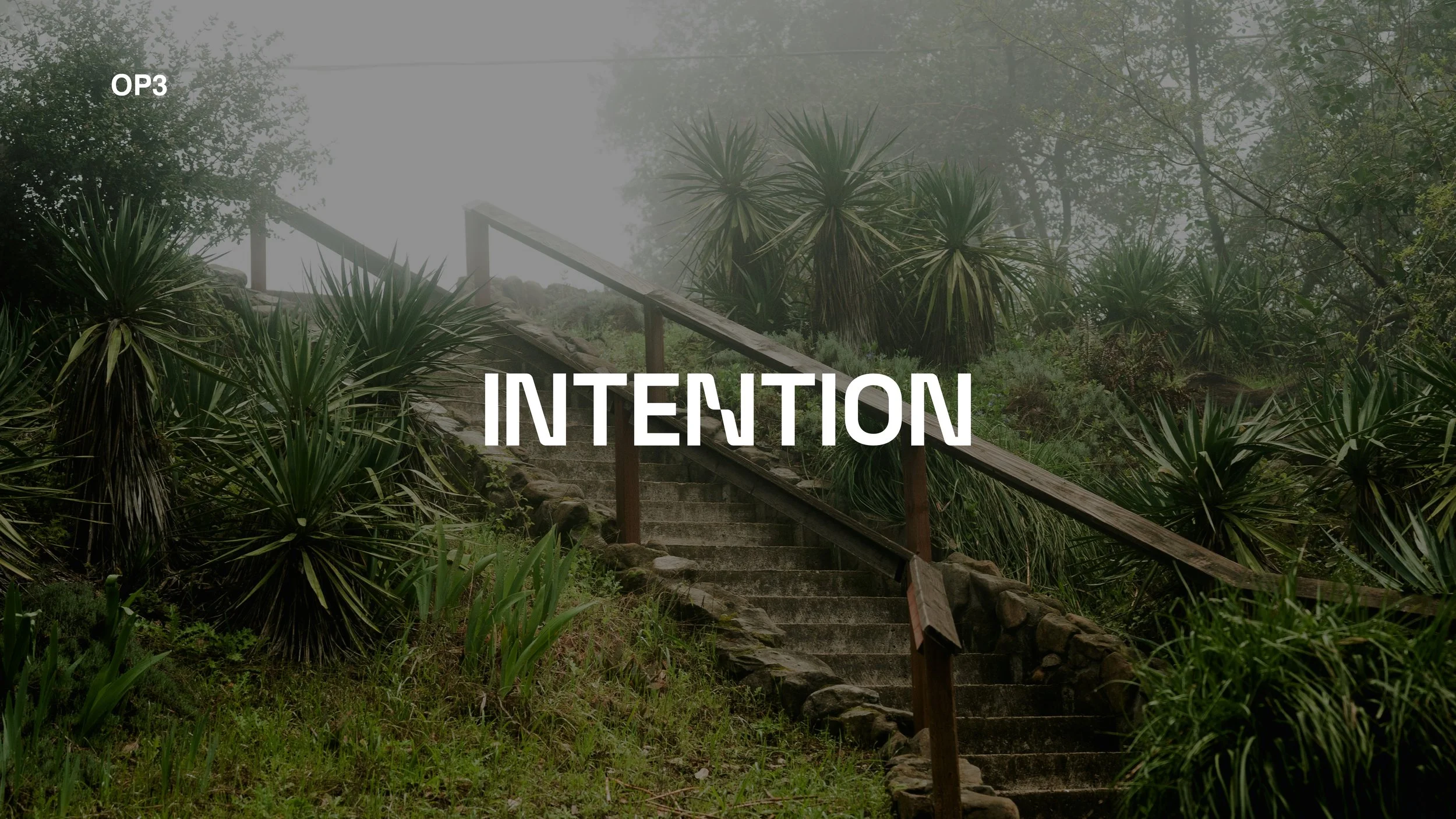 Compiled_Intention V2_26.jpg