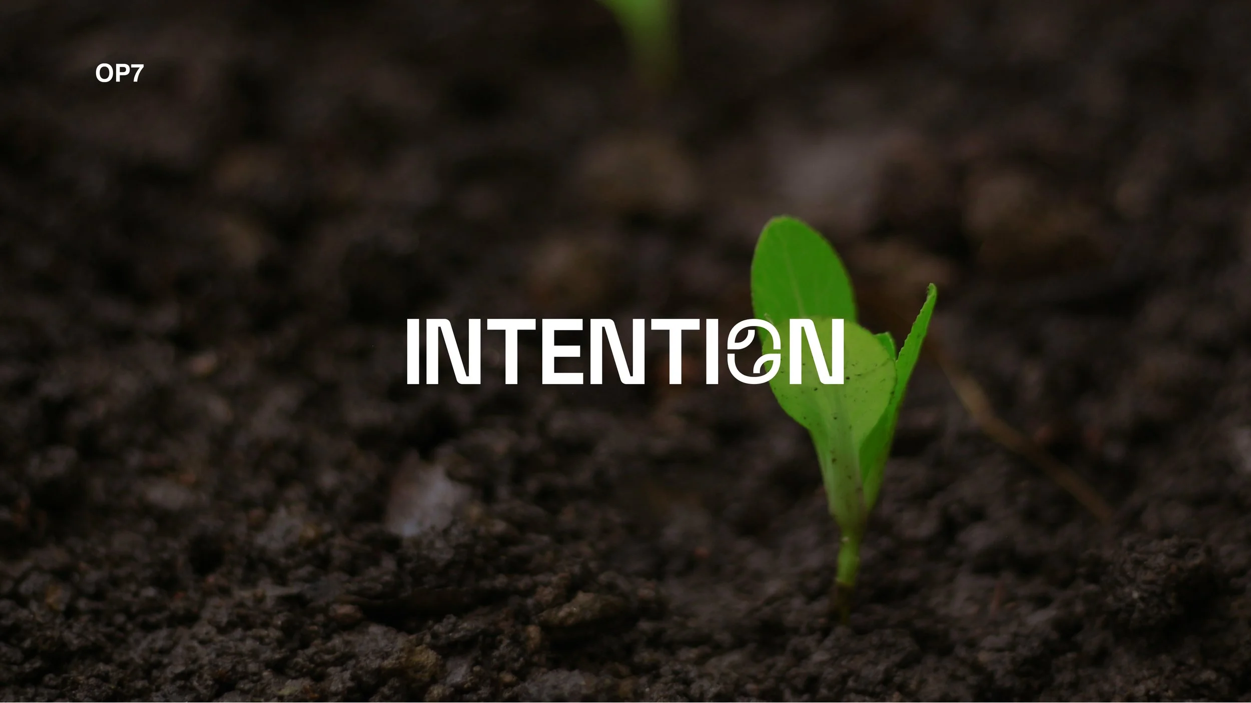 Compiled_Intention V2_42.jpg