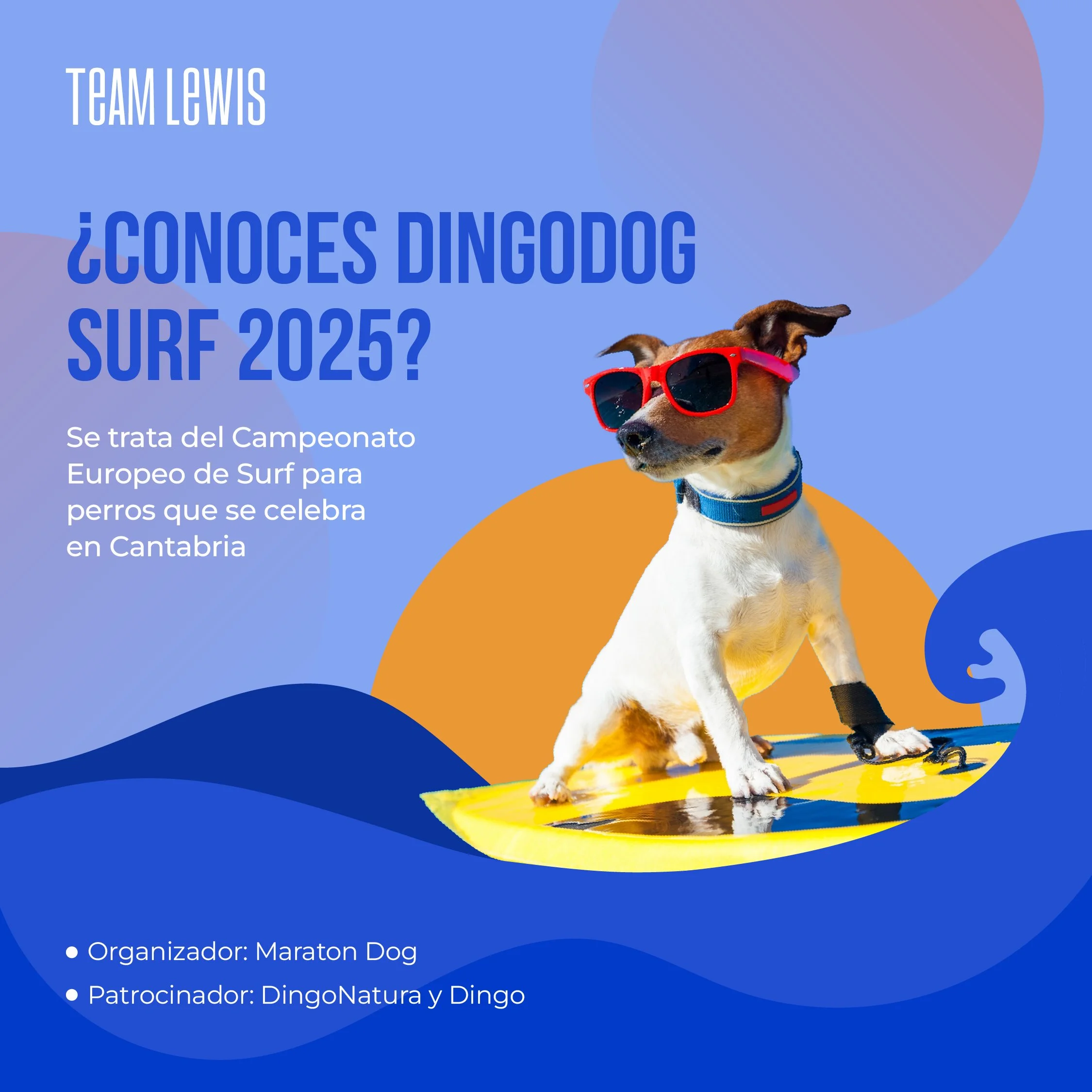 R5_Dingo Natura_Case Study Carousel_1_OPT 2.jpg