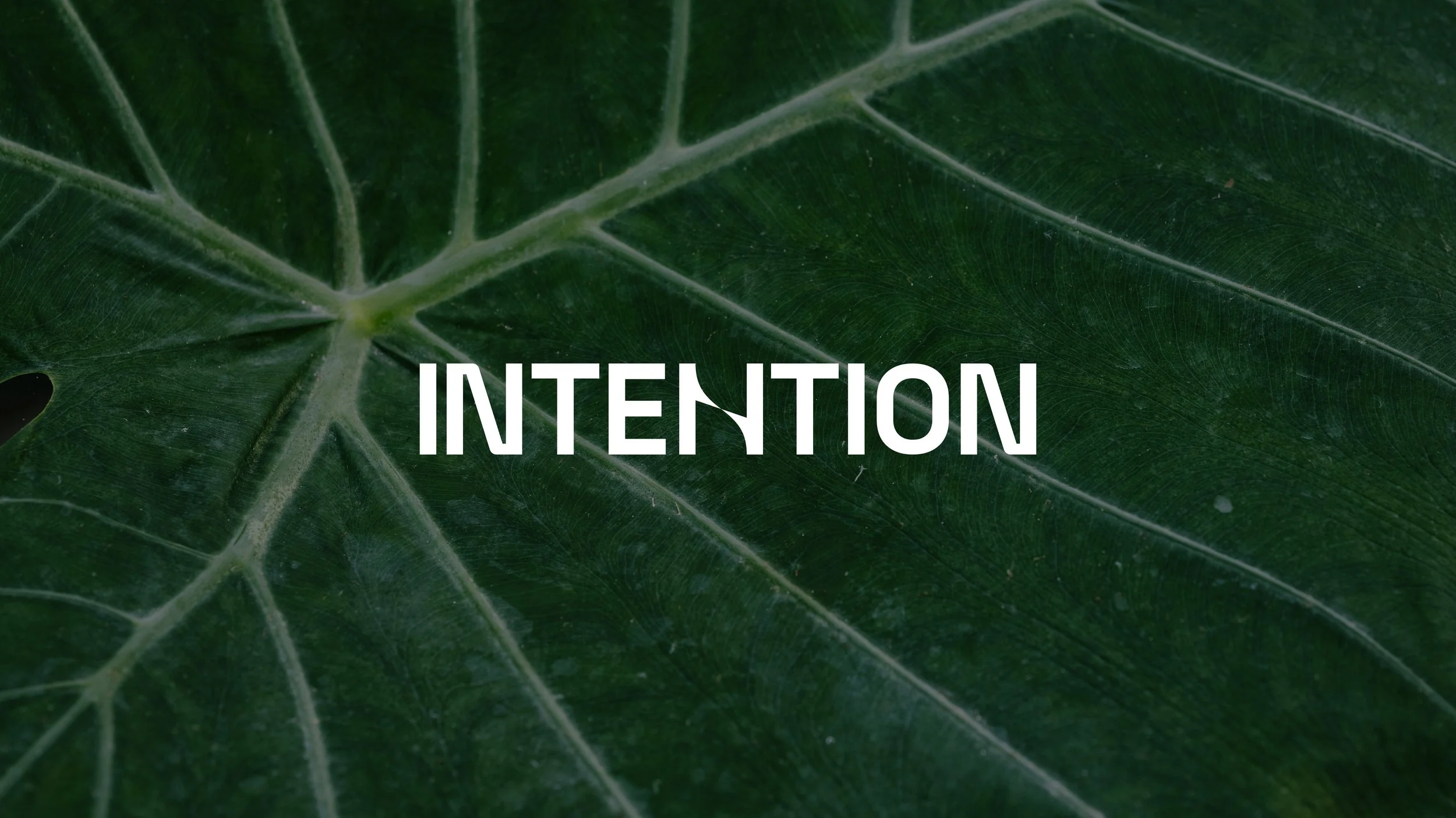 INTENTION