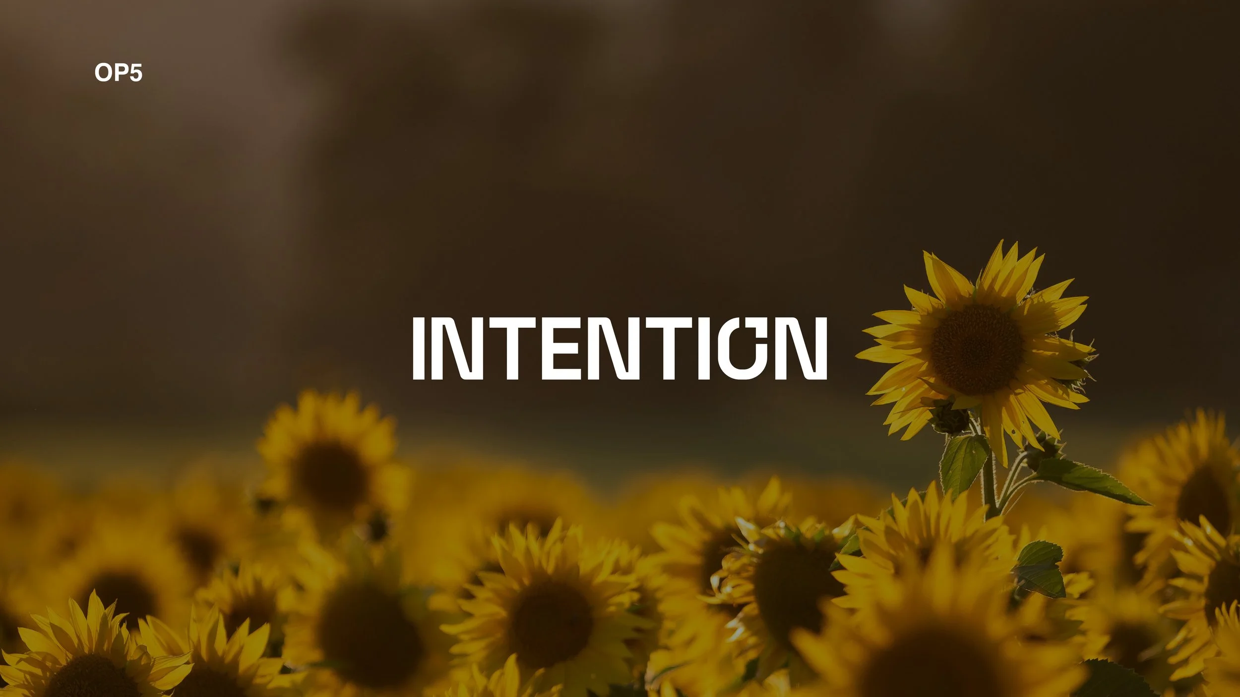 Compiled_Intention V2_34.jpg