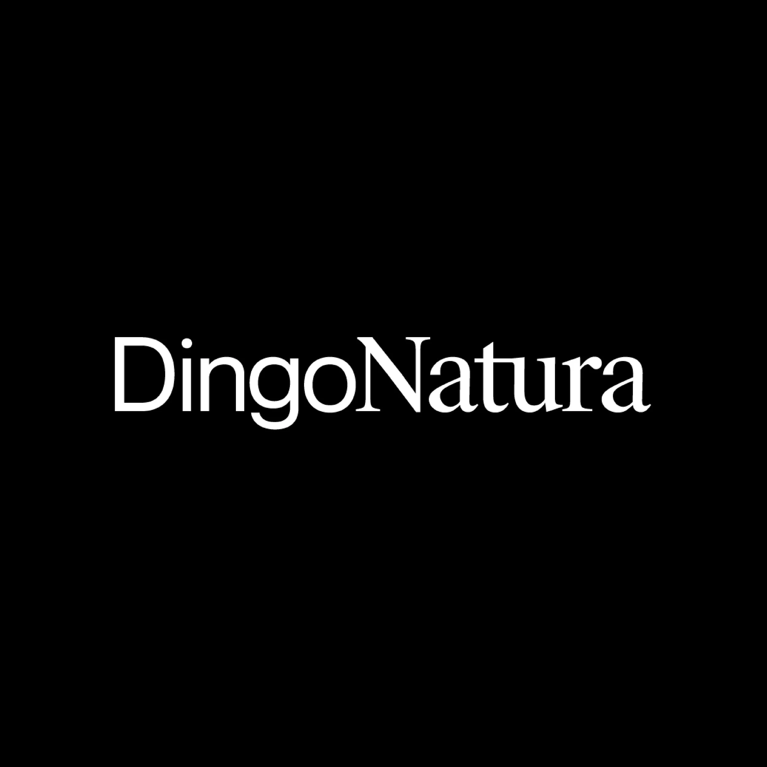 Dingo