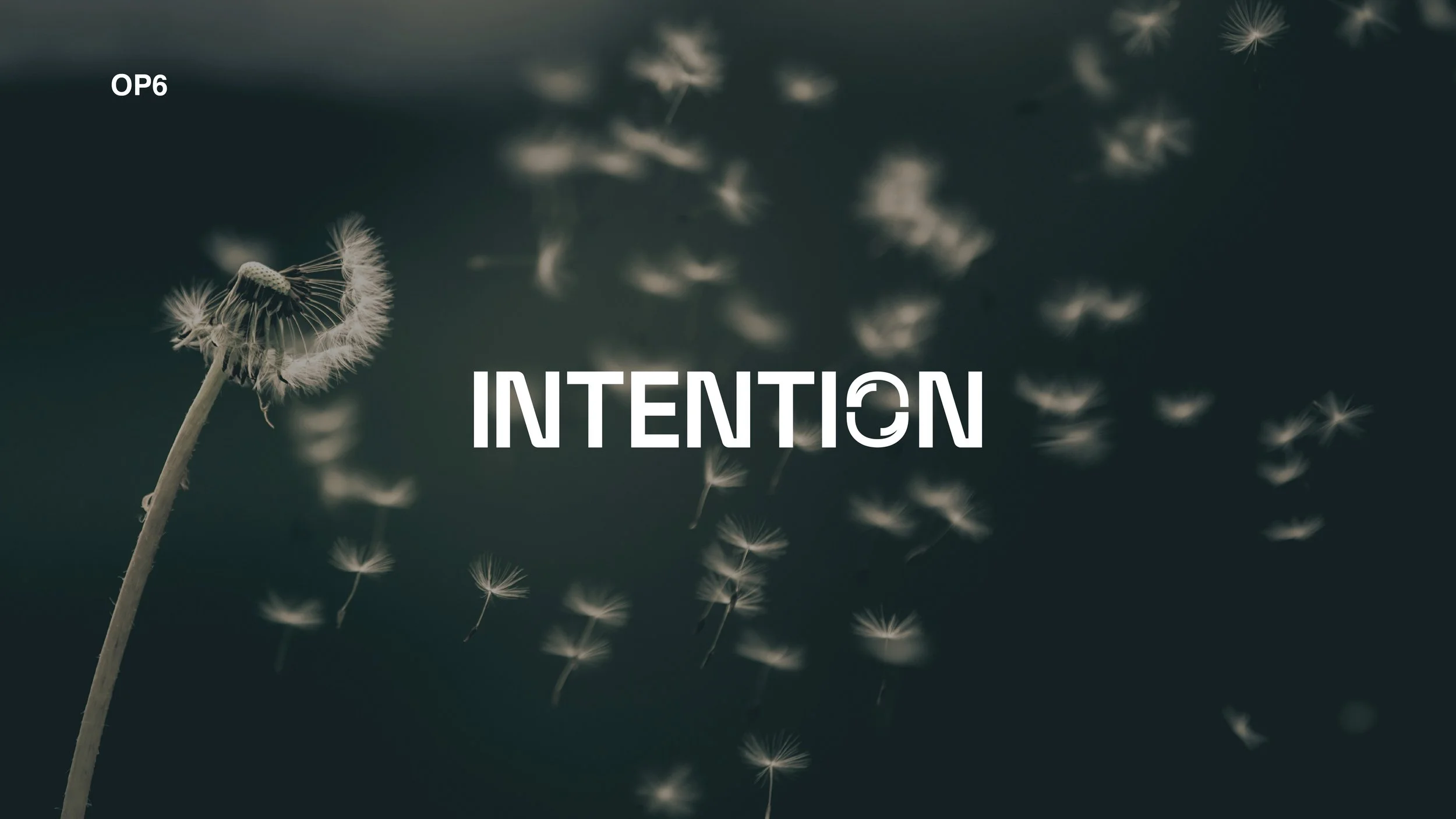 Compiled_Intention V2_38.jpg
