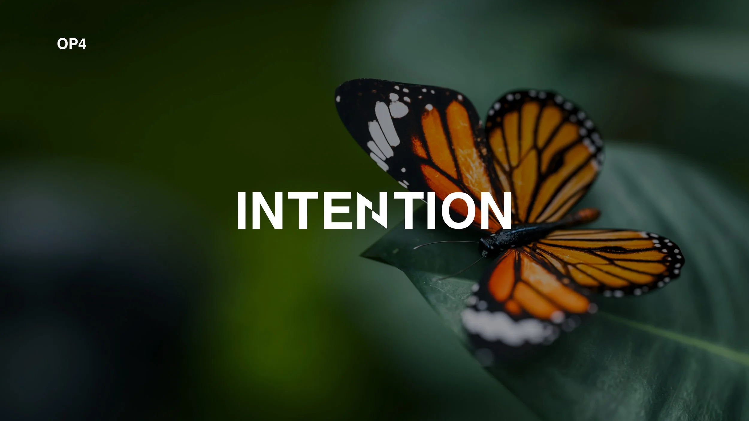 Compiled_Intention V2_30.jpg