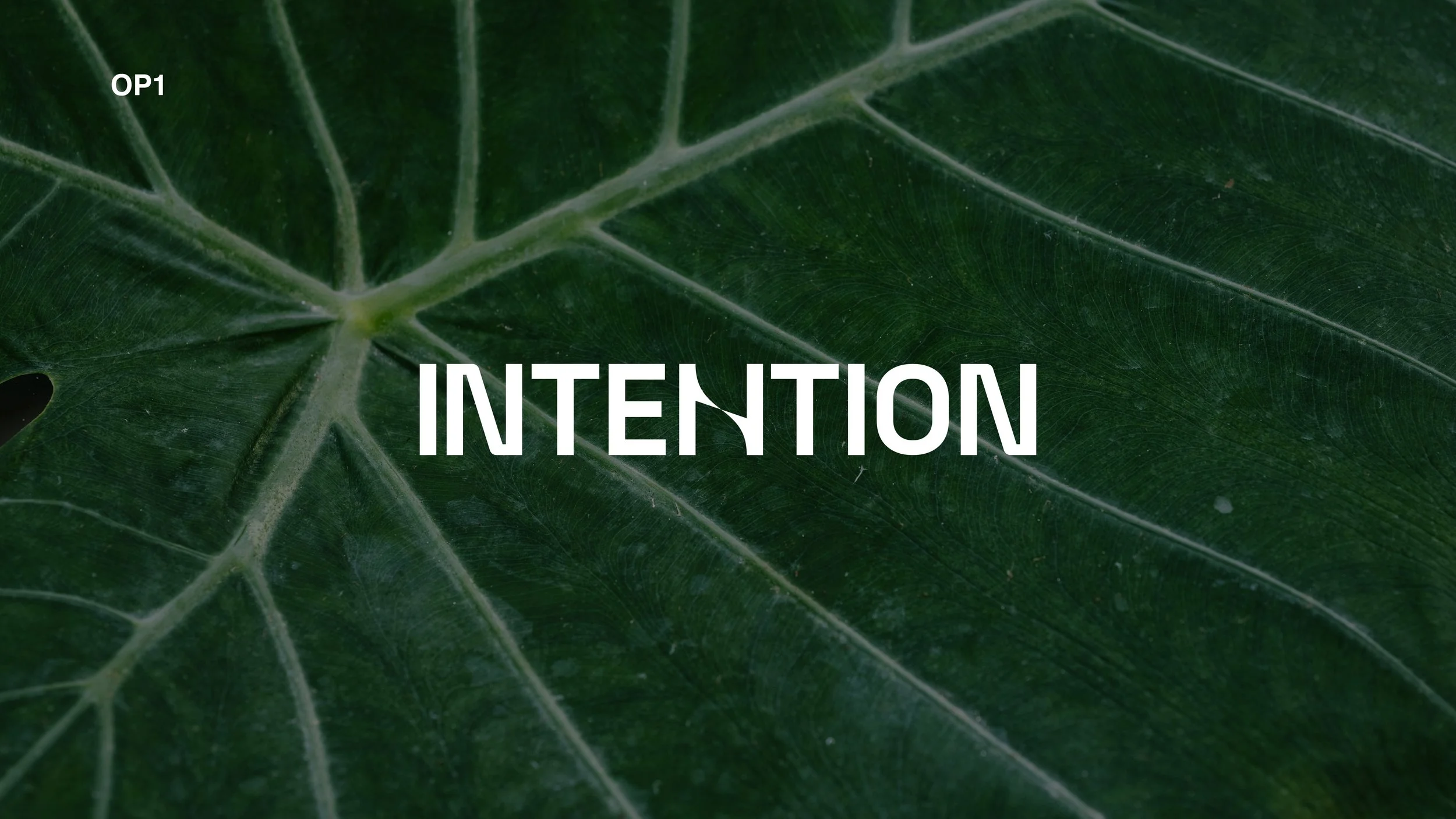 Compiled_Intention V2_18.jpg