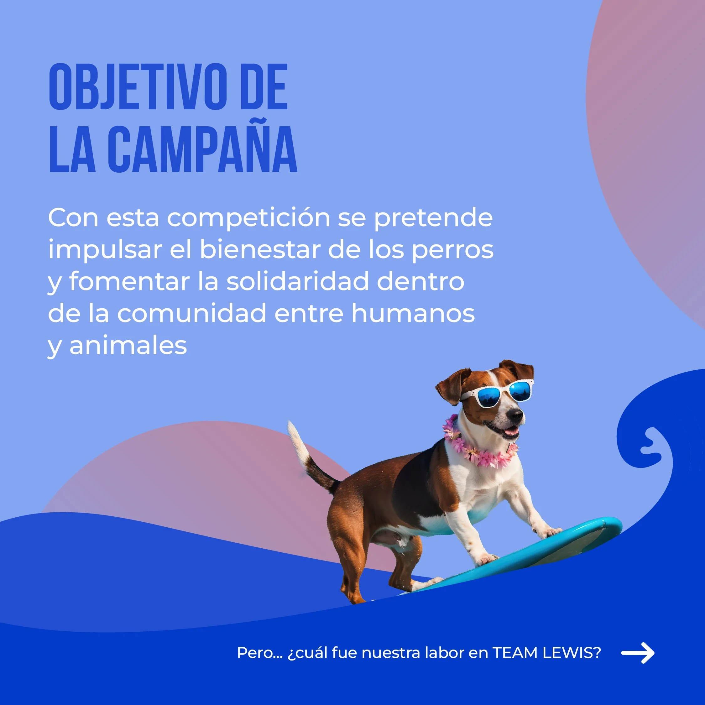 R5_Dingo Natura_Case Study Carousel_2.jpg