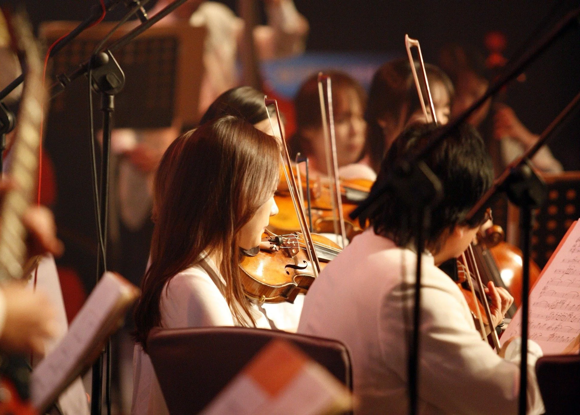 Orchestra members playing violins during a performance.