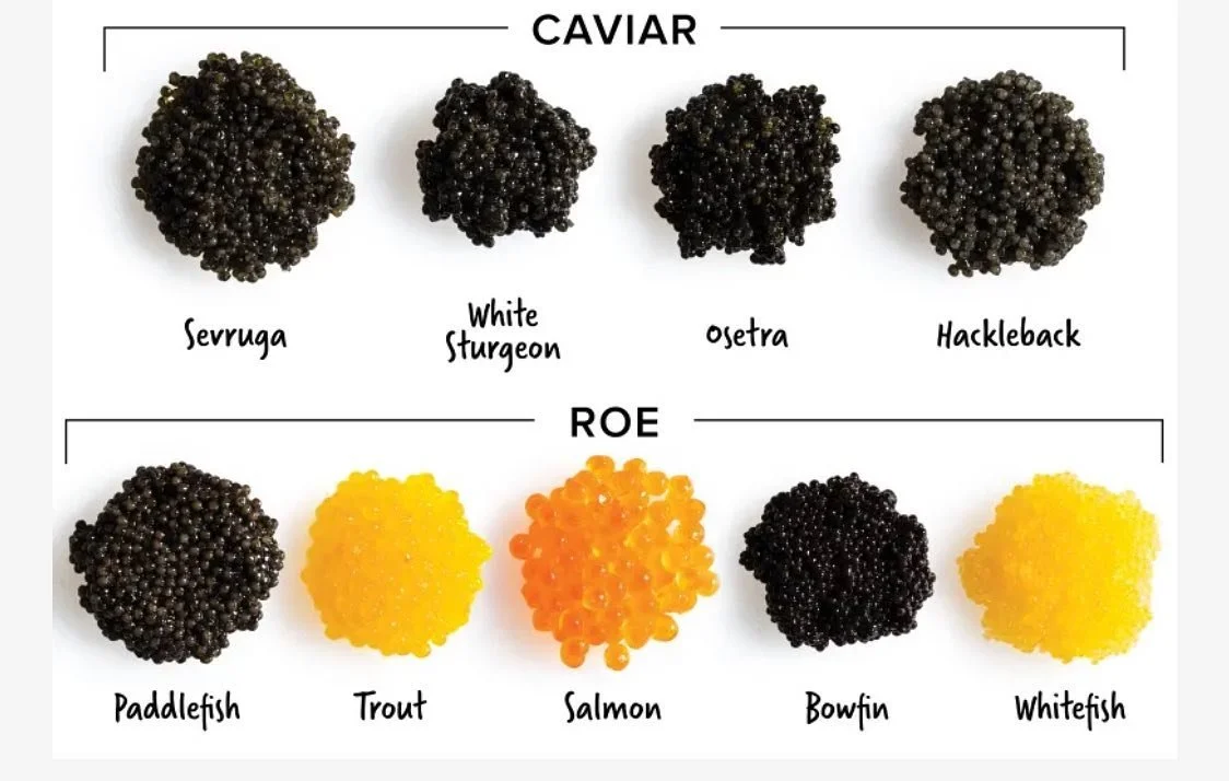 A little education about American Caviar #caviarlover #caviardreams #kur8er @kur8.ed