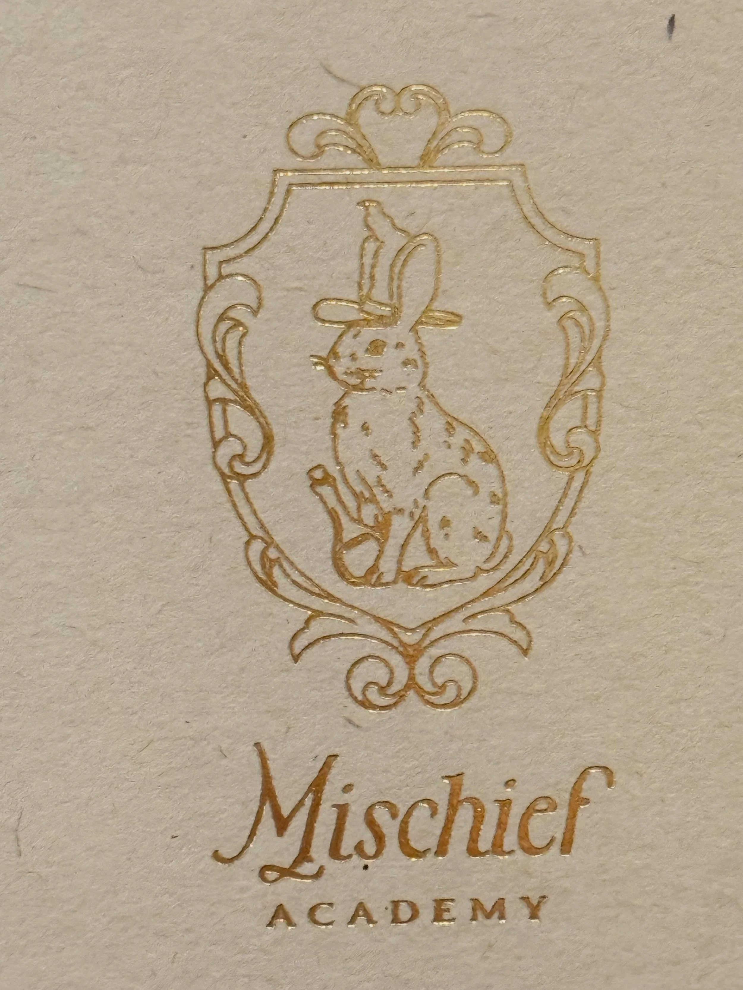 @mischief_academy
