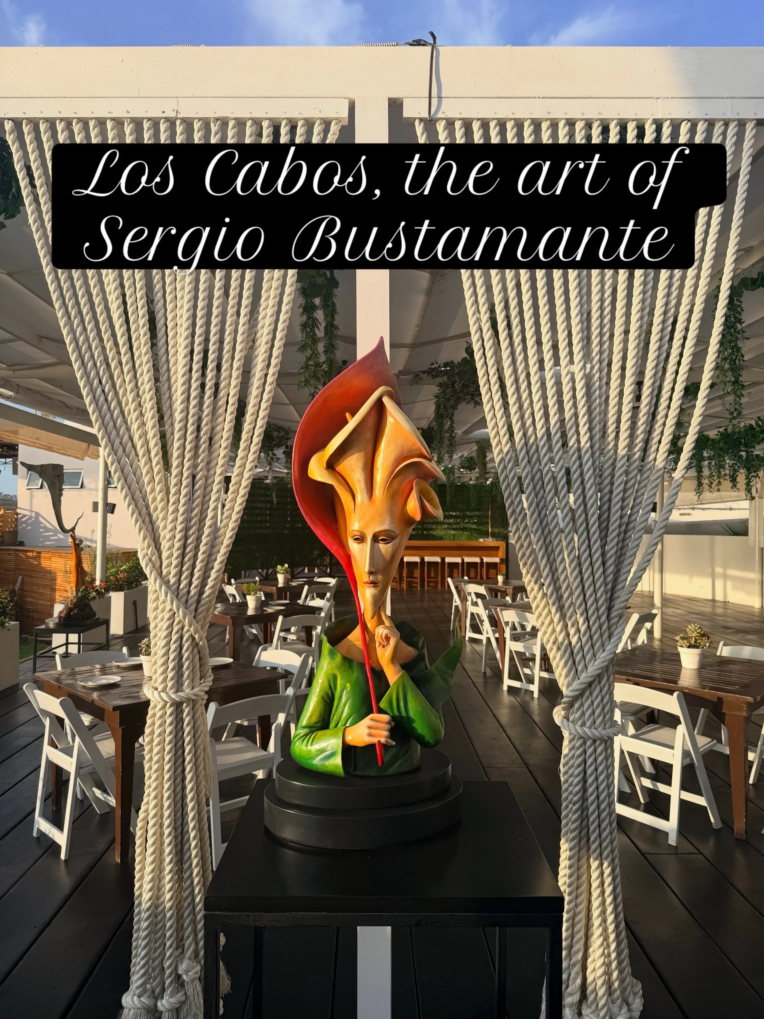 @sergiobustamanteloscabos  #loscabos #kur8edtravel
