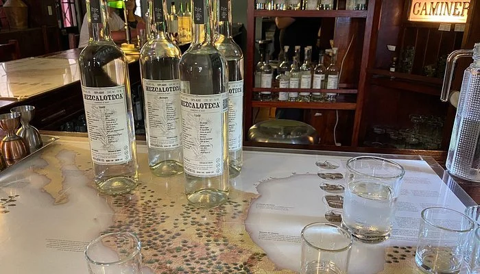 The Mezcal Journey: From Oaxaca’s Agave Fields to the Glass
