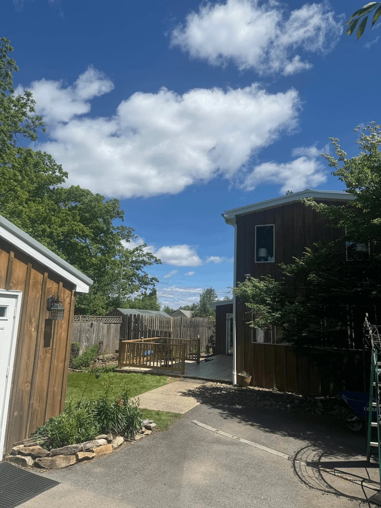 Residential property after tree removal and debris cleanup.