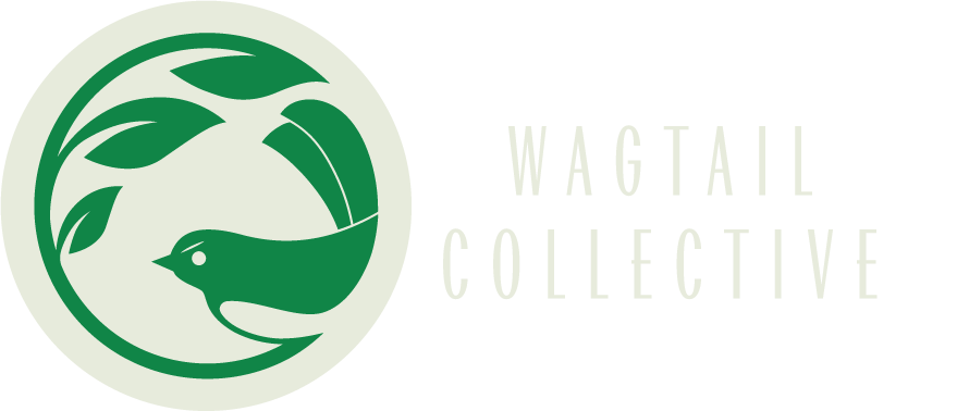 Wagtail Collective