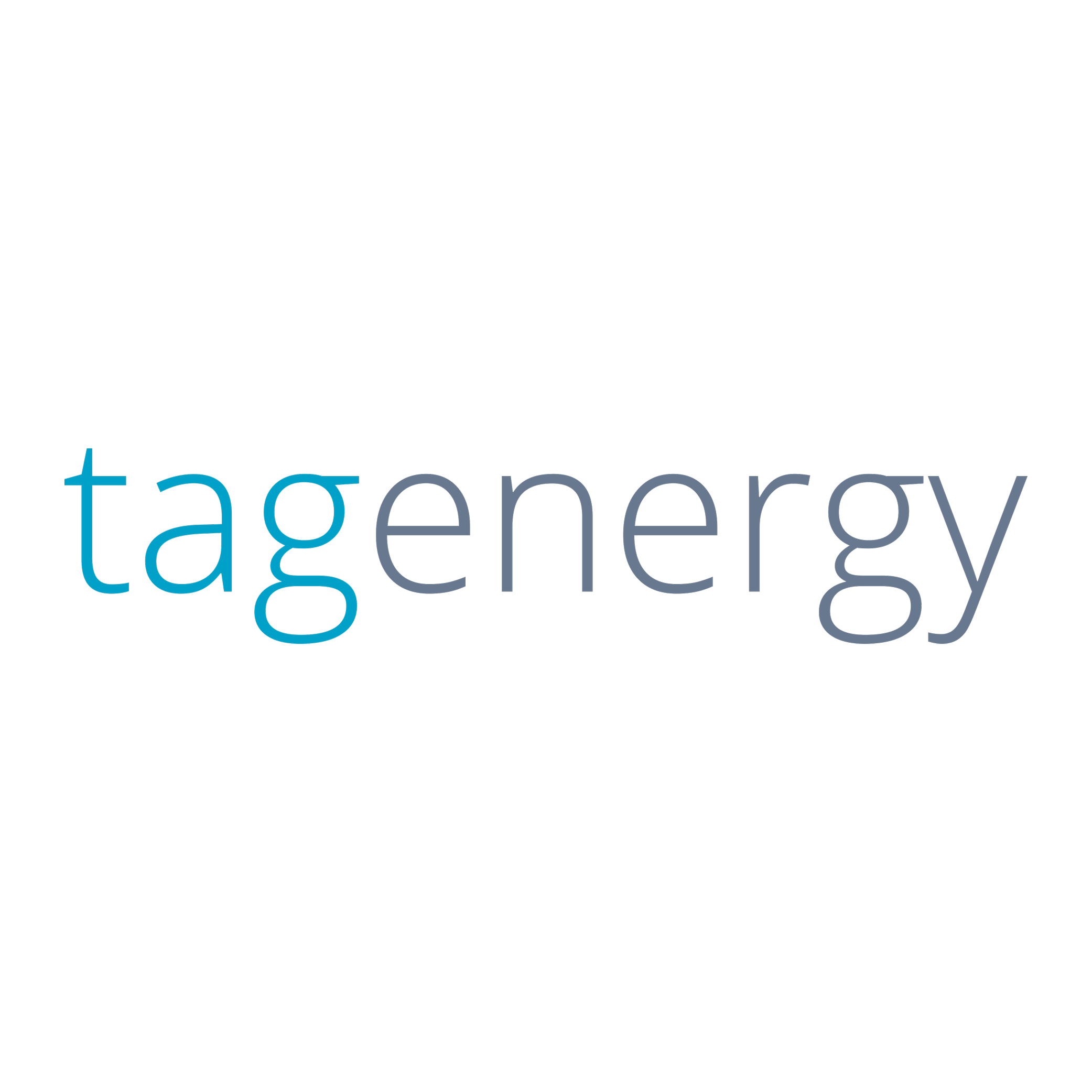 TagEnergy_500x500.png