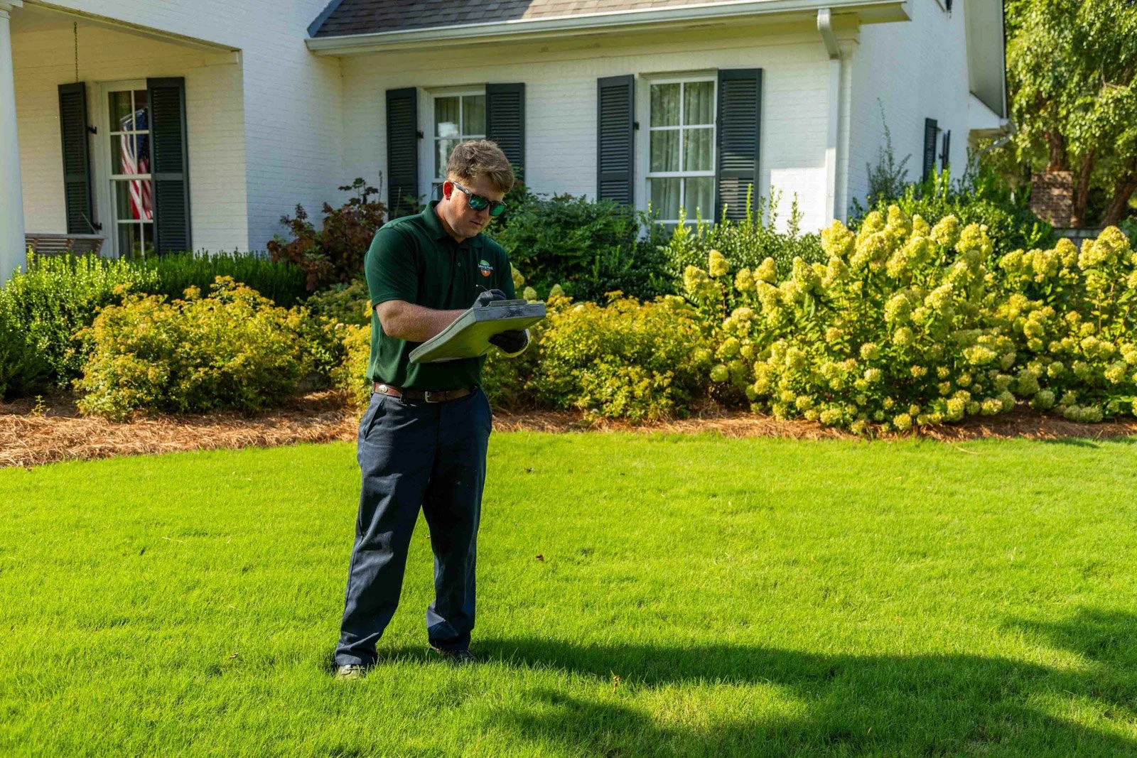 Lawn care + plant care