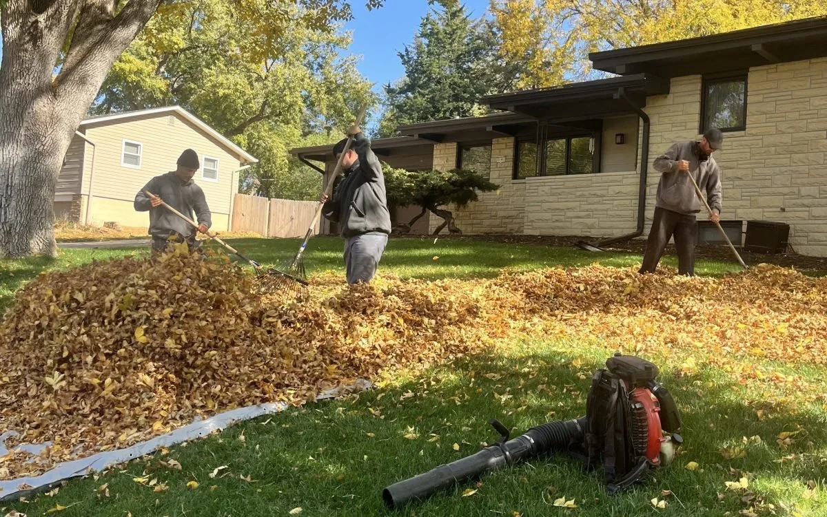 Spring/fall cleanup