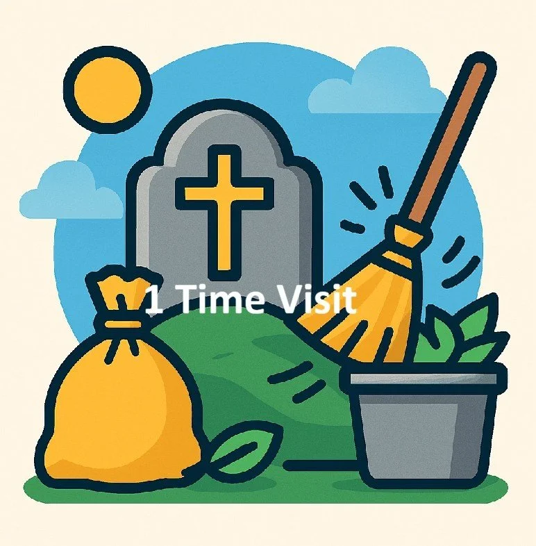 One-Time Care Visit