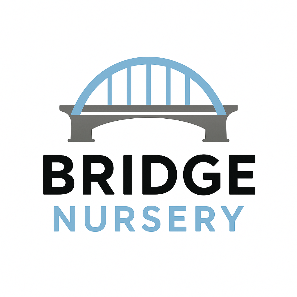Logo with a bridge graphic above the words 'Bridge Nursery' in black and light blue text.
