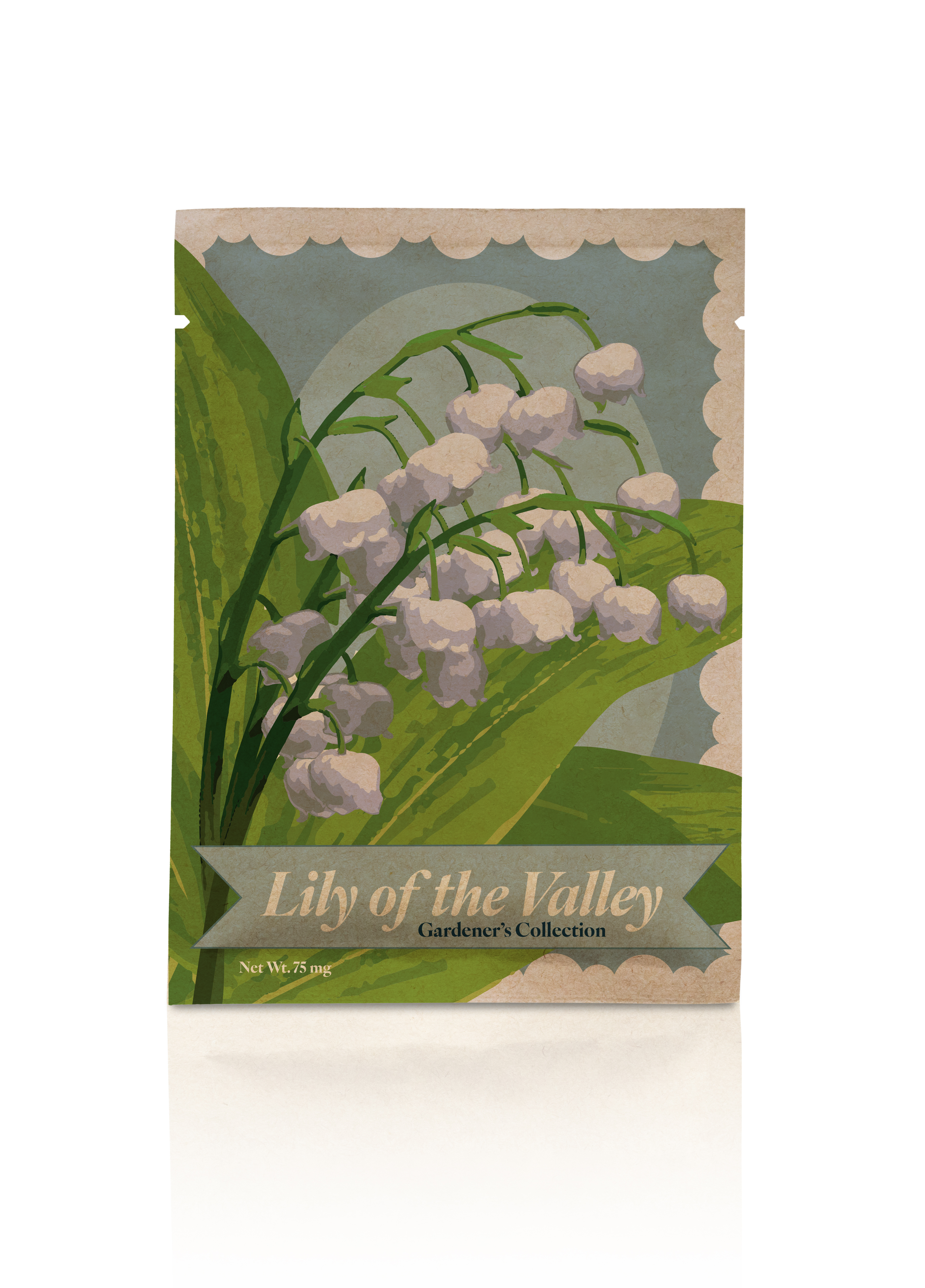 Seed Packet Design
