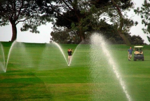 Irrigation and Water Use Strategy