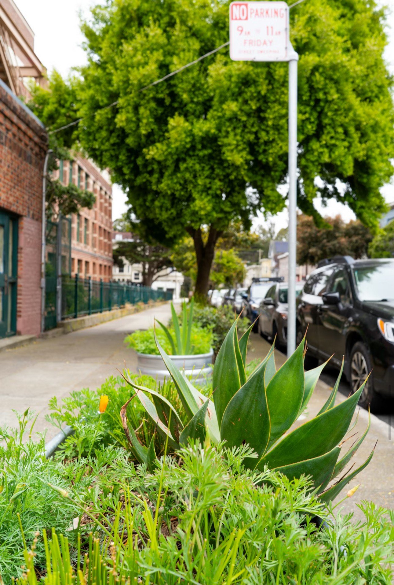 HOA / Commercial Oversight