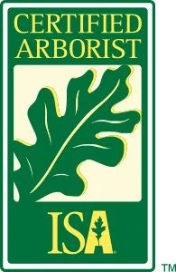 Certified Arborist logo with a green oak leaf and font