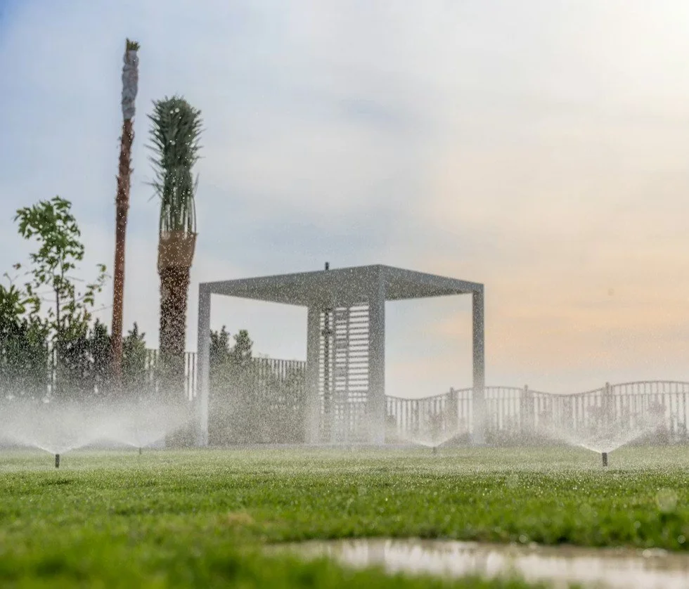 Irrigation and Water Use Strategy