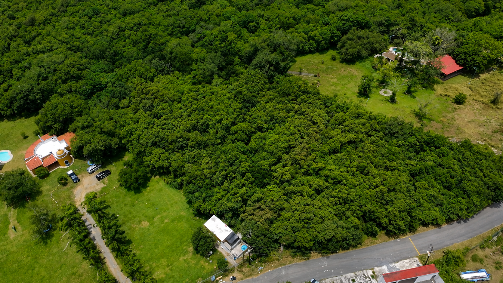 Las margaritas area.png