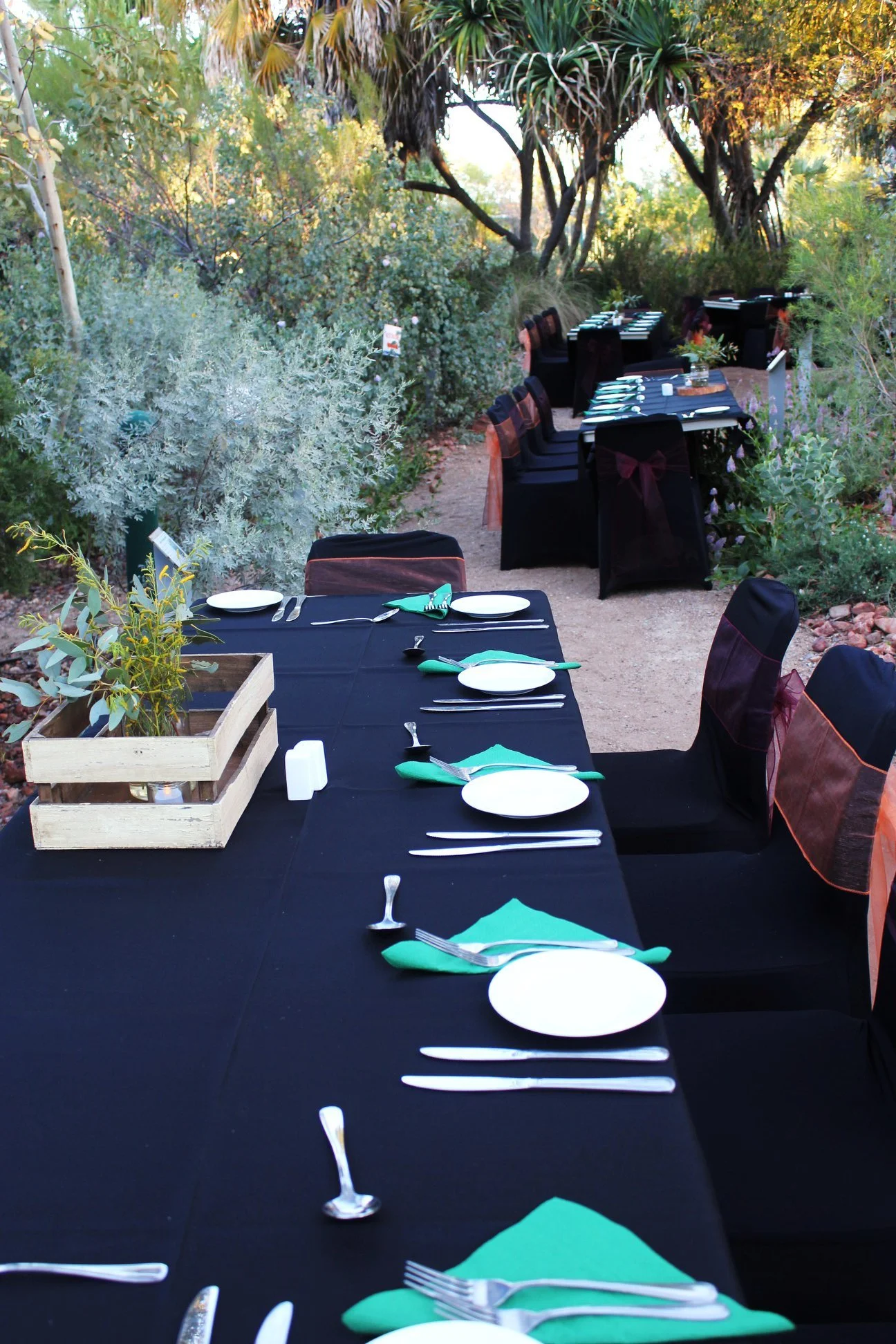 An outdoor dining setup with a long black table covered with black tablecloths, set for a meal with white plates, silverware, teal napkins, and a centerpiece with greenery, surrounded by black-chaired seats decorated with bows, in a lush garden with various plants and trees.