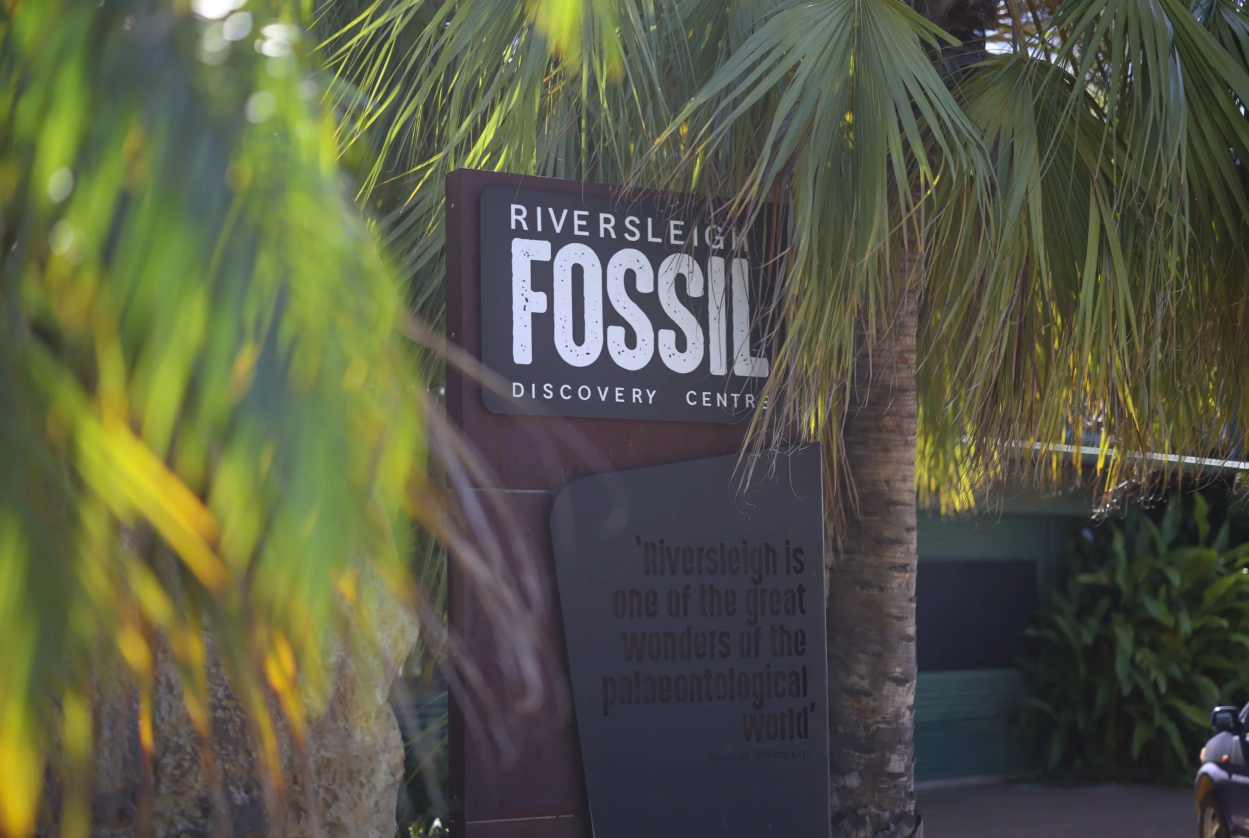 A sign for the Riversleigh Fossil Discovery Centre surrounded by lush green palm trees and foliage.