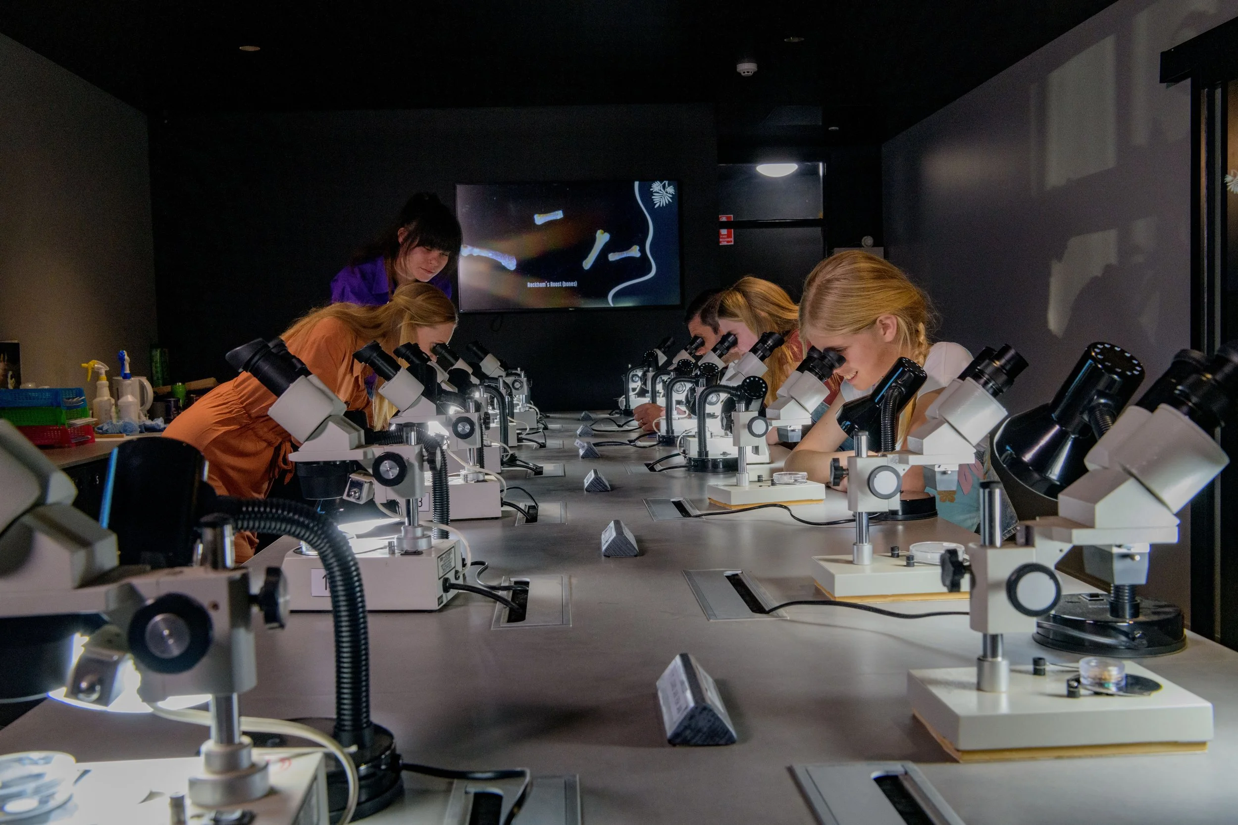 Tour guests working with microscopes in the Riversleigh Discovery Centre laboratory sorting fossils on their Guided Fossil Tour.