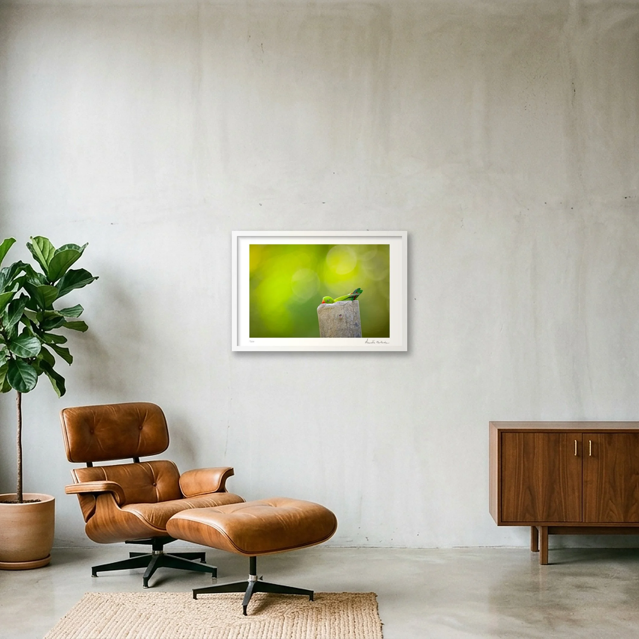 shot_wall_86e8872f_05b628f2.jpg