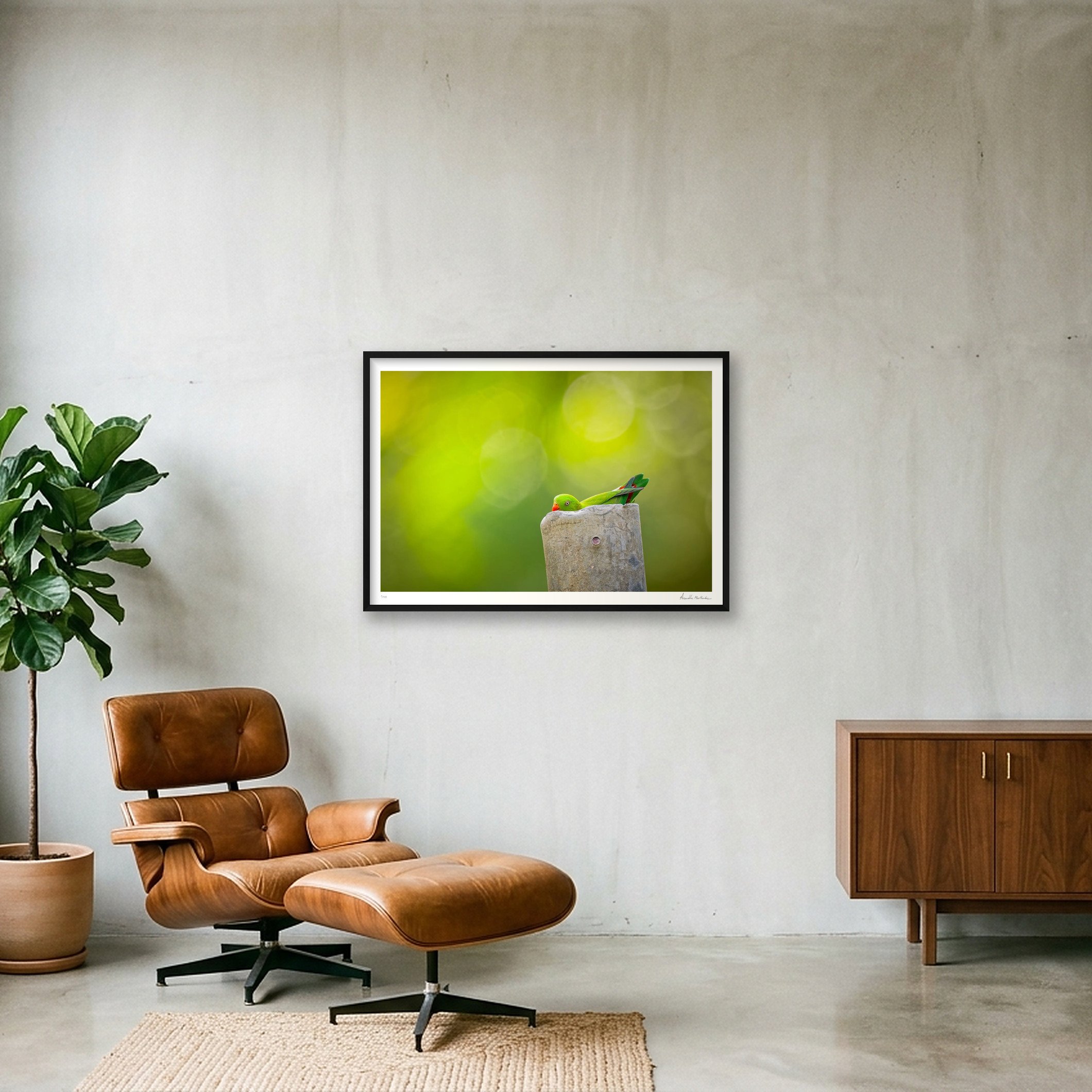 shot_wall_791e69ab_0c392a3e.jpg