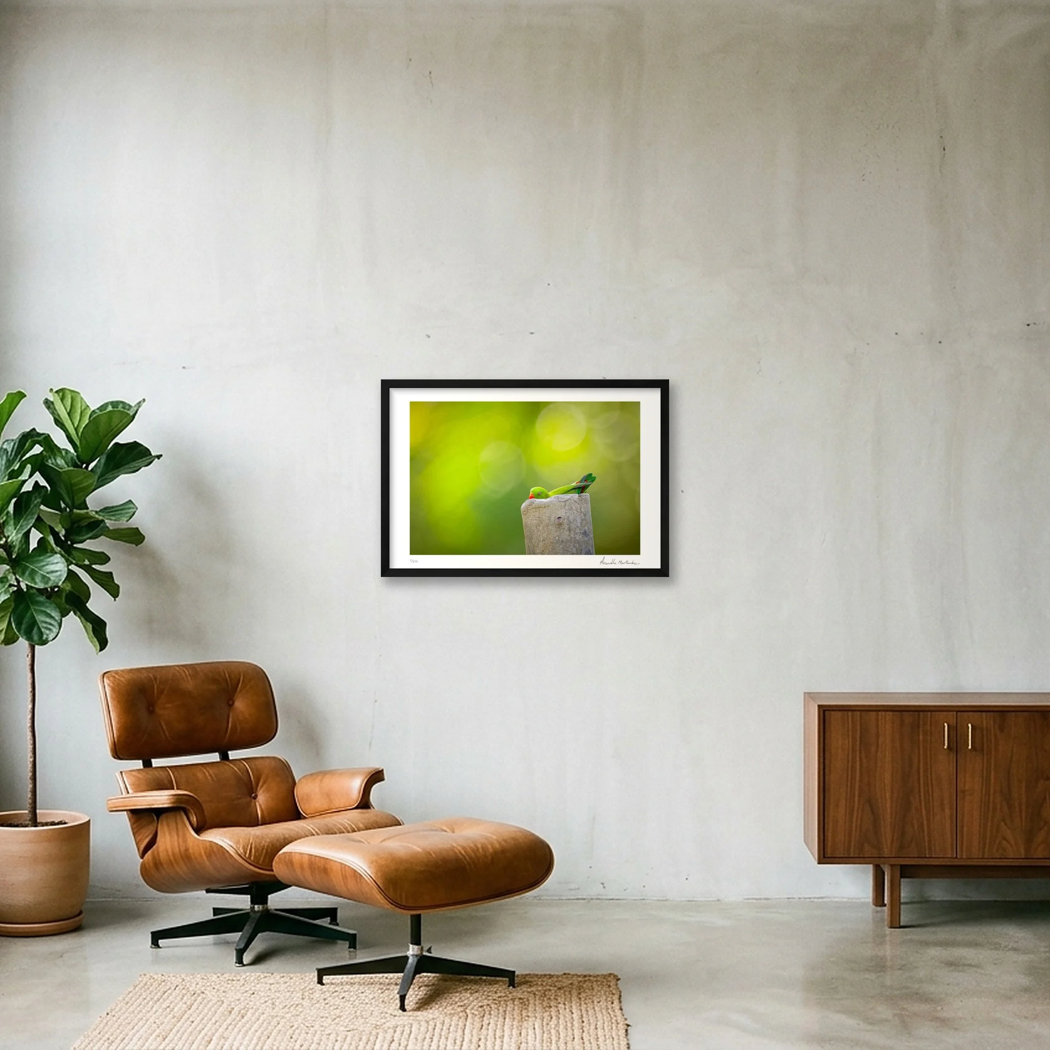 shot_wall_37c0d7ec_75c9fd39.jpg