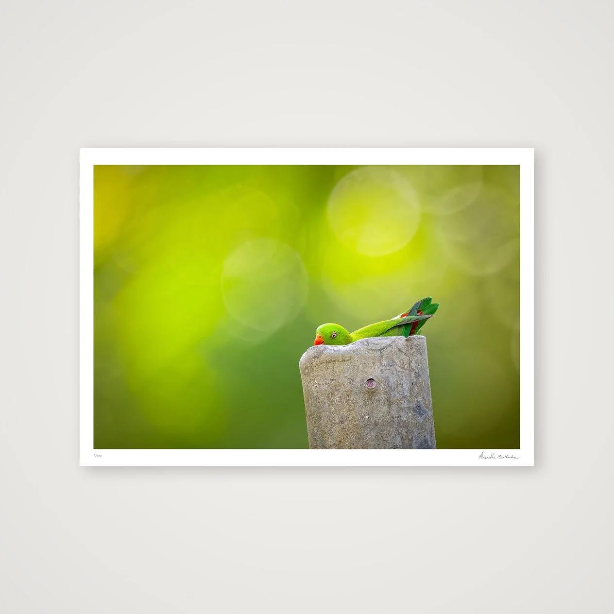 shot_table_1ddd5fa7_b0ad0959.jpg