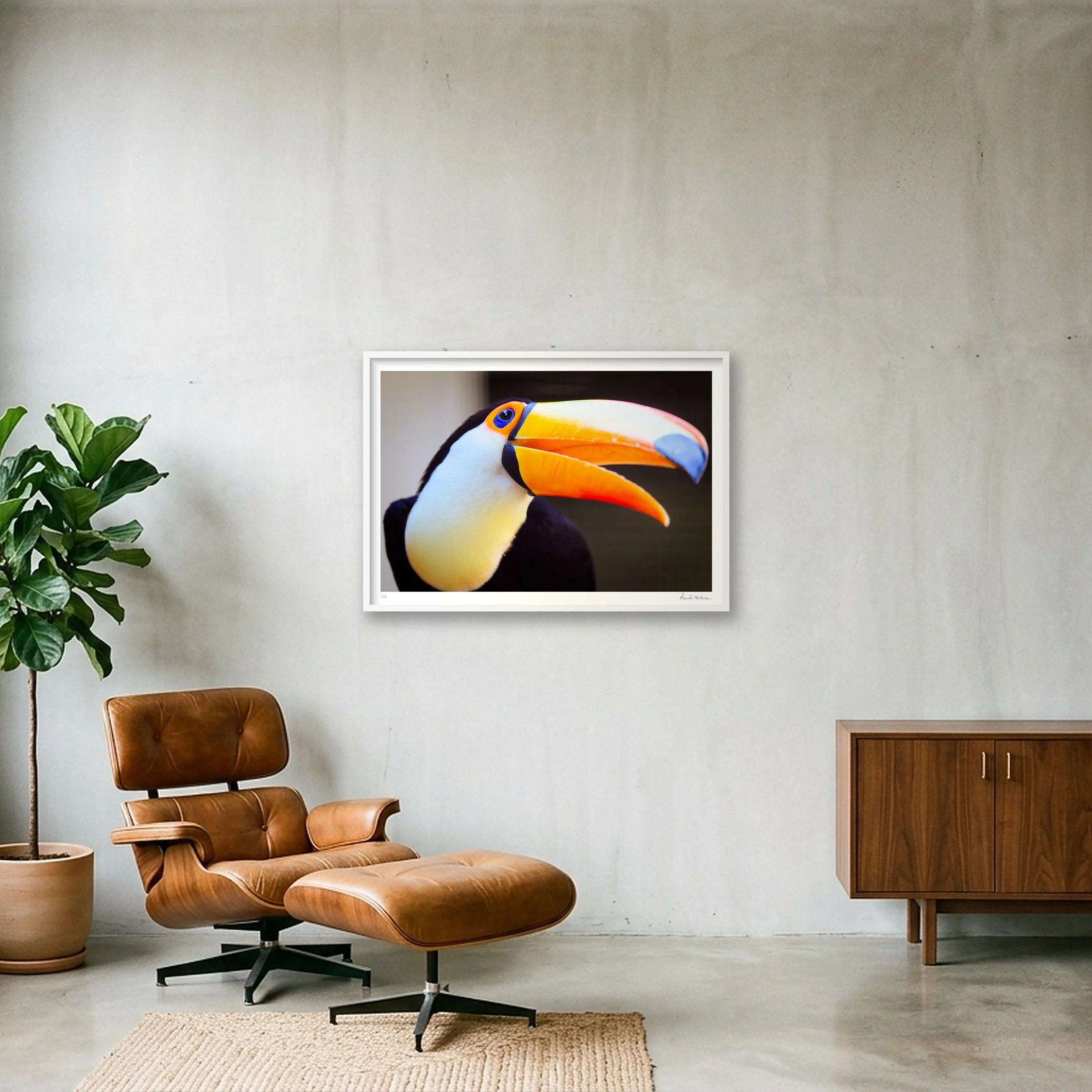 shot_wall_1ae99f2b_2e5bed2f.jpg