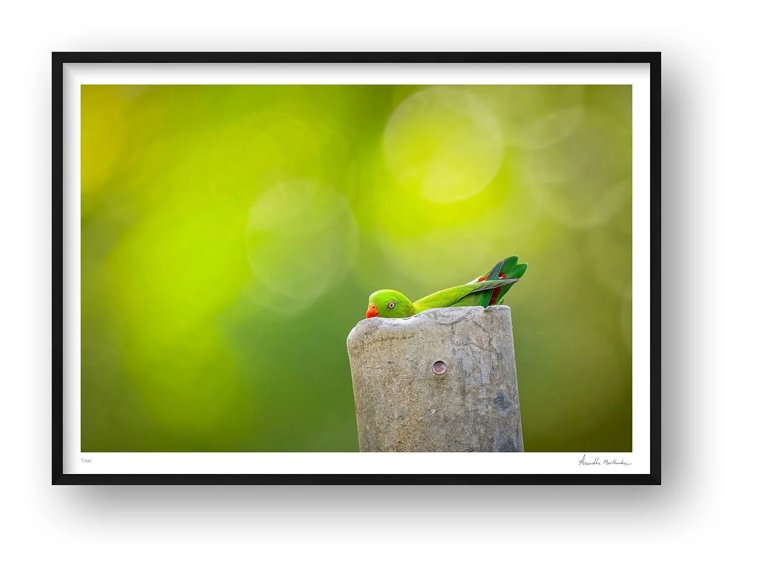 preview_791e69ab_4126c06a.jpg