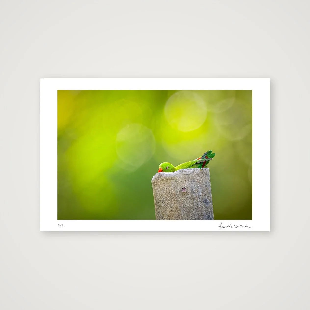 shot_table_1c6950c8_66c14560.jpg