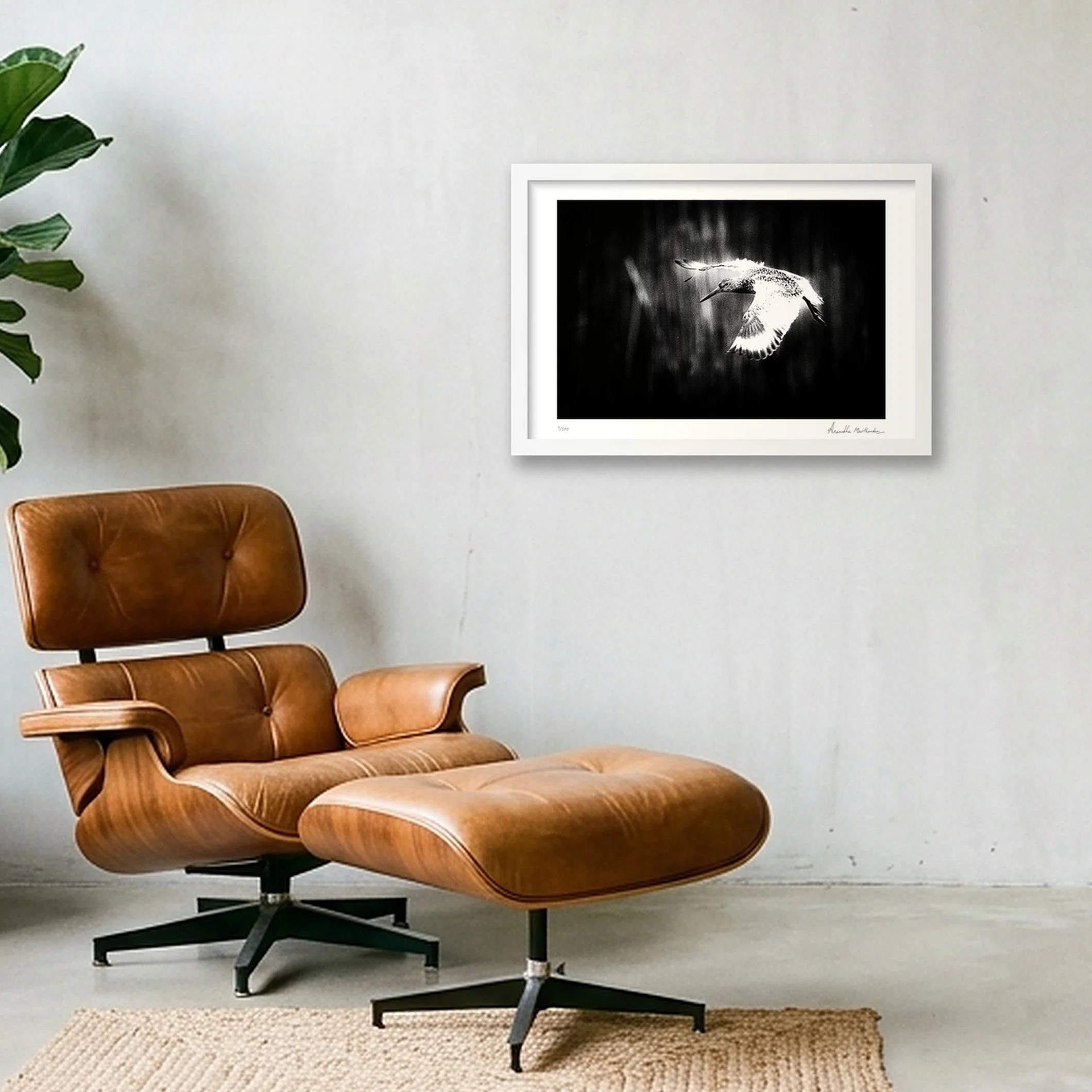 shot_wall_4bf91b51_68c80ff1.jpg