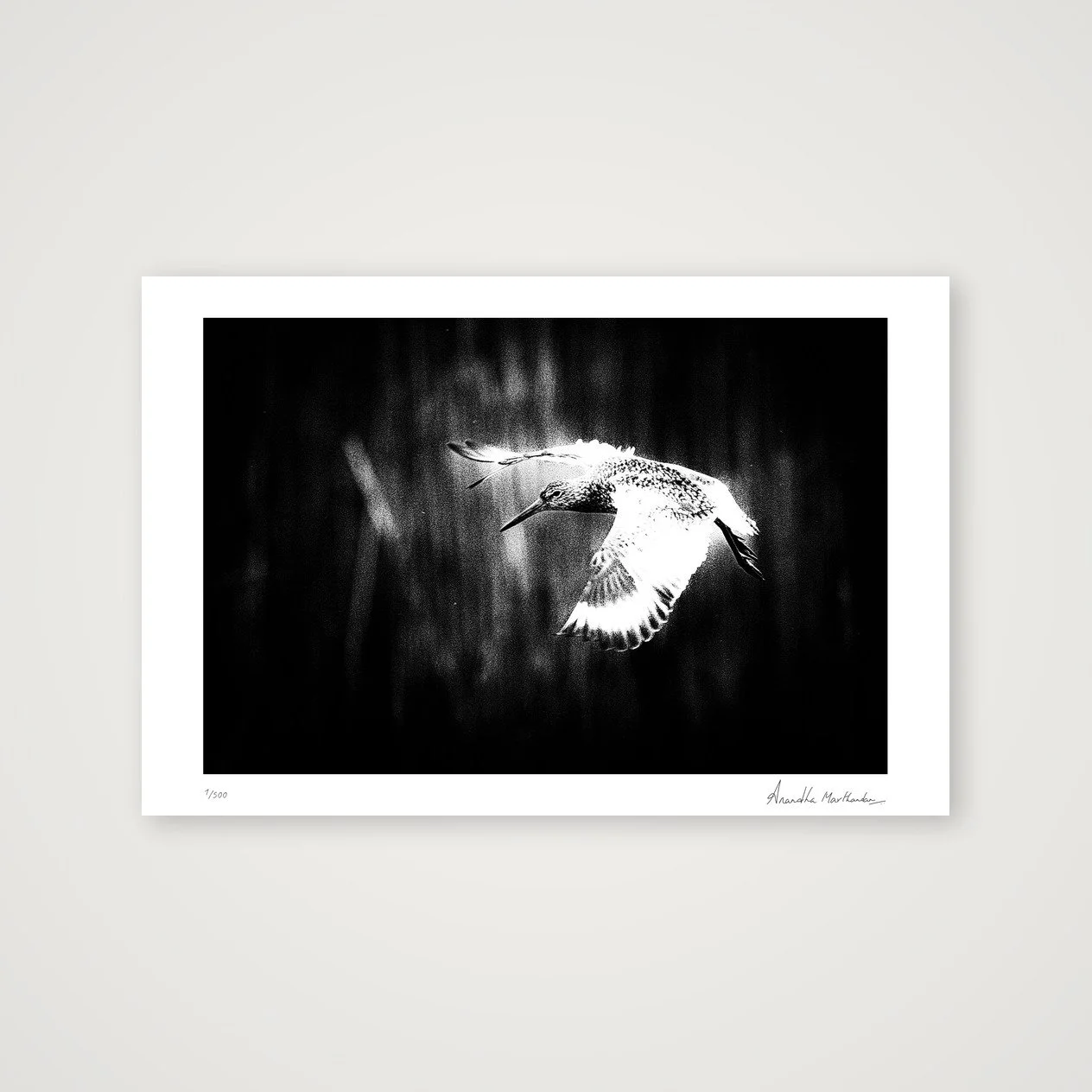 shot_table_bf717470_51fa7656.jpg